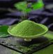 Матча церемониальная Sai Uji класс 6А Ceremonial ТМ Matcha Village 100 г