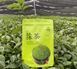Чай Матча для матча-латте АА ТМ Matcha Village Премиум 100 г