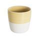 Чашка для капучино Loveramics Dale Harris 200мл Yellow (C109-11BYE)