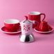 Гейзерная кофеварка Bialetti Fiammetta Induction Cherries на 2 чашки (100 мл)