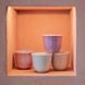 Чашка Loveramics Brewers Embossed Tasting Cup Pink 80 мл