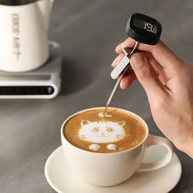 Электронный термометр MHW-3Bomber Portable LCD Digital